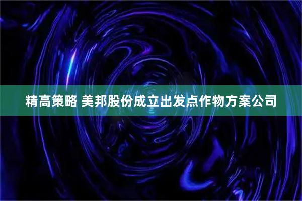 精高策略 美邦股份成立出发点作物方案公司