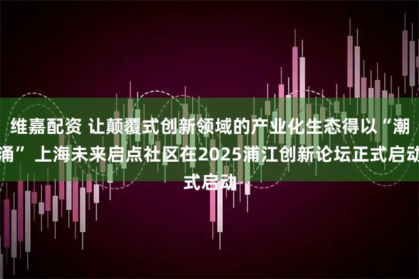 维嘉配资 让颠覆式创新领域的产业化生态得以“潮涌” 上海未来启点社区在2025浦江创新论坛正式启动